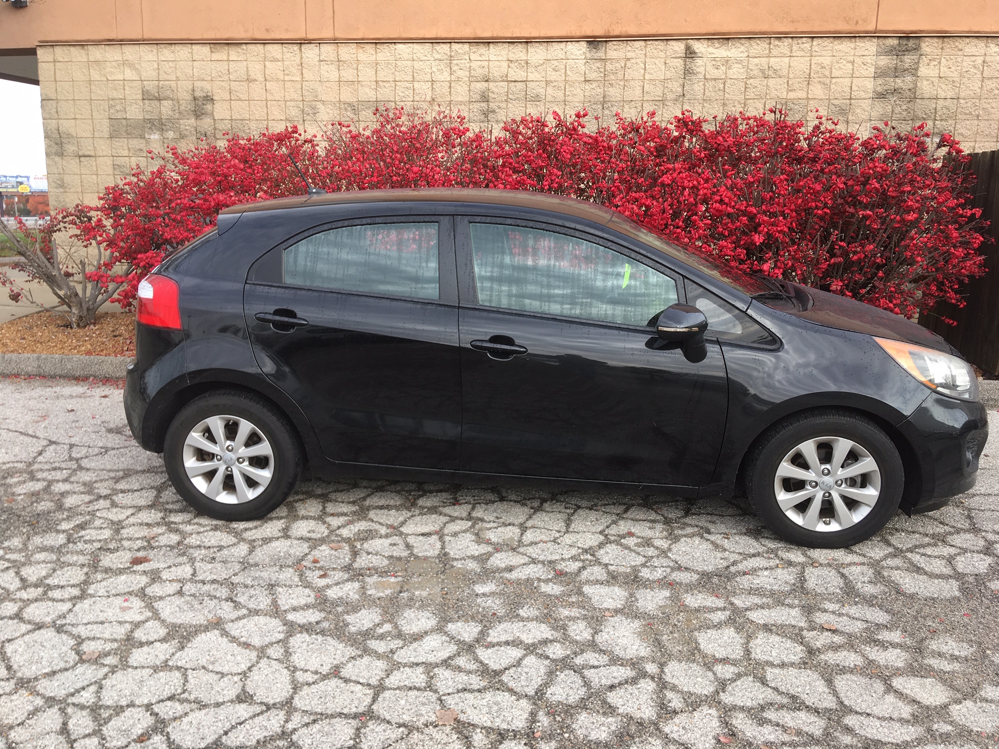 2015 Kia Rio5